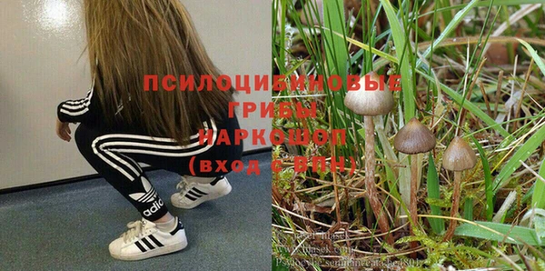 ECSTASY Абдулино