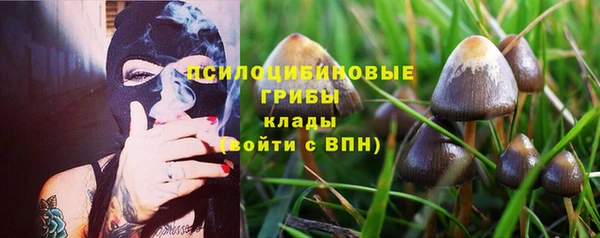 ECSTASY Абдулино